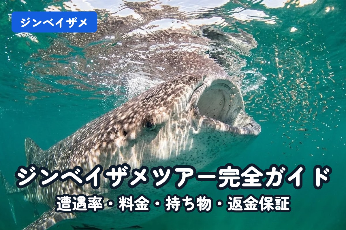 セブ島ジンベイザメツアー完全ガイド