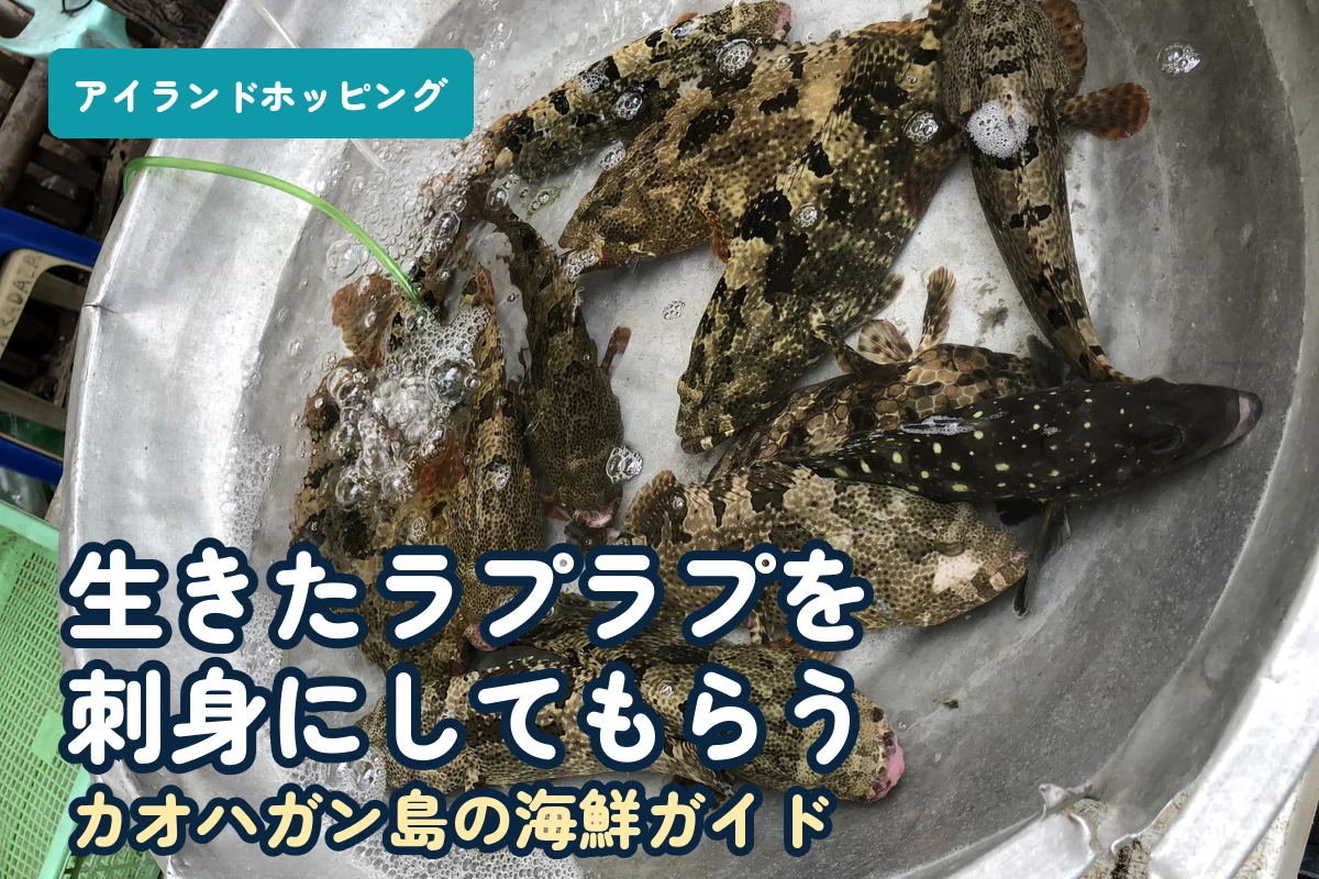 カオハガン島で海鮮を買う｜生きたラプラプを選んで刺身にしてもらう
