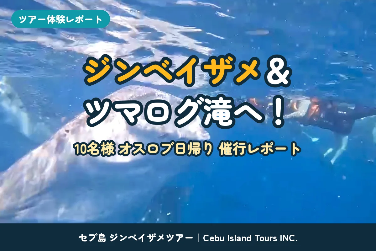 10名様でジンベイザメ＆ツマログ滝へ！子どもも一緒に楽しんだオスロブ日帰りツアー｜催行レポート