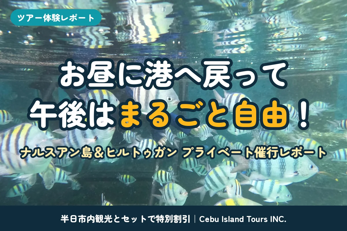 ナルスアン島＆ヒルトゥガン プライベート催行レポート｜お昼に港へ戻って午後は自由、半日市内観光とセットで特別割引