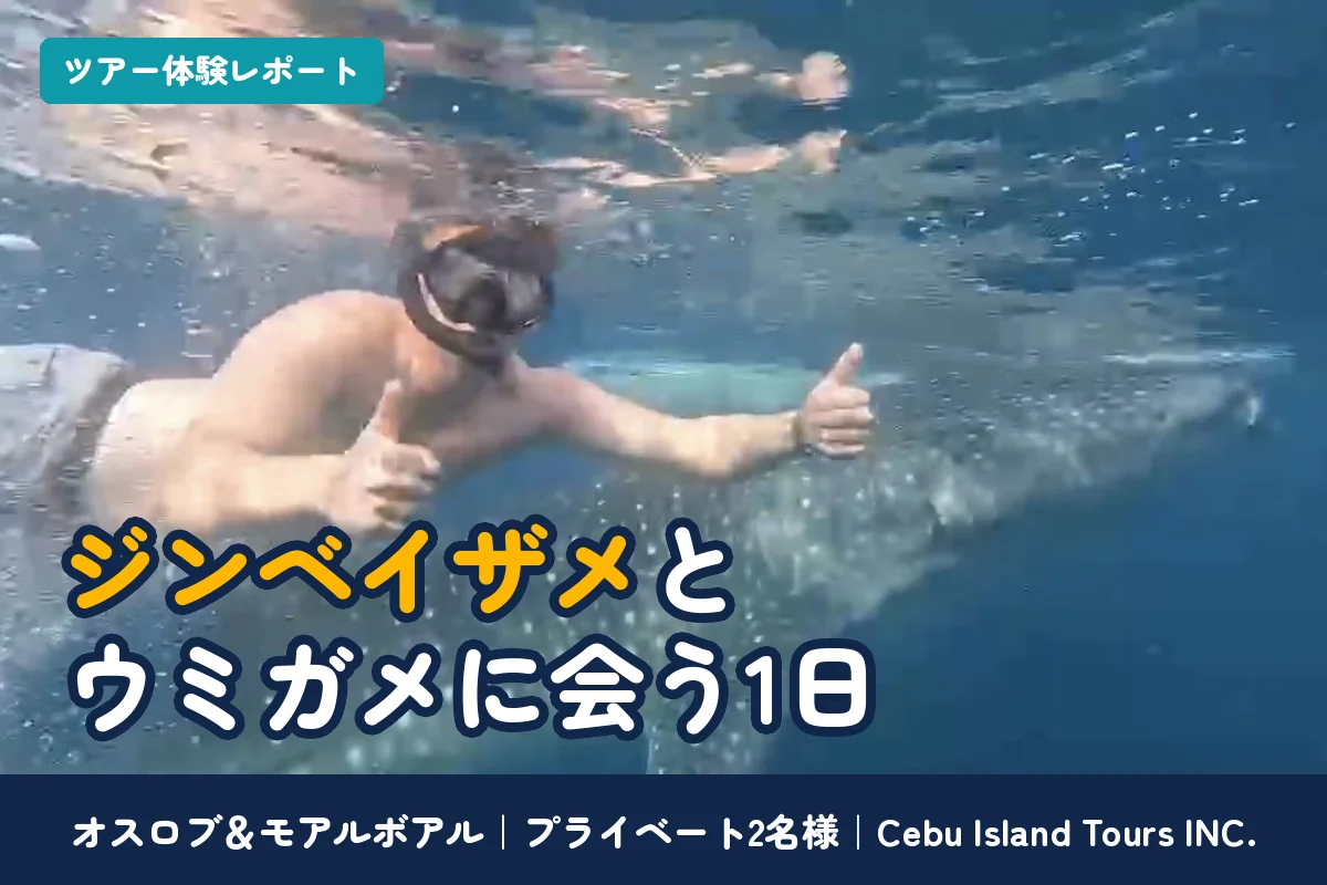 ジンベイザメとウミガメに会う1日｜オスロブ＆モアルボアル プライベート2名様の催行レポート