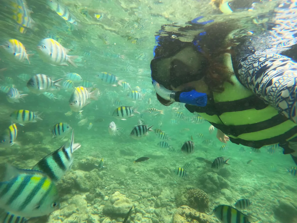 縞模様の熱帯魚の群れと一緒にスノーケリングする女性の水中写真