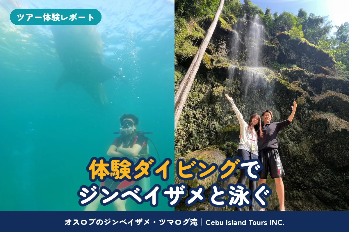 ジンベイザメツアー｜体験ダイビングでジンベイザメと泳ぎ、ツマログ滝とアルガオのシーサイドレストランでランチを楽しんだ1日