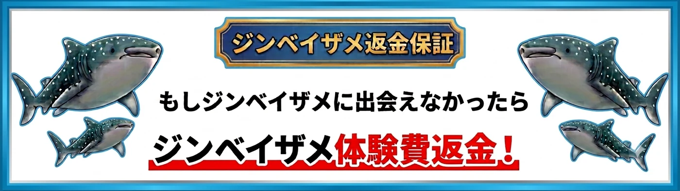 ジンベイザメ返金保証 - もしジンベイザメに出会えなかったらジンベイザメ体験費を返金