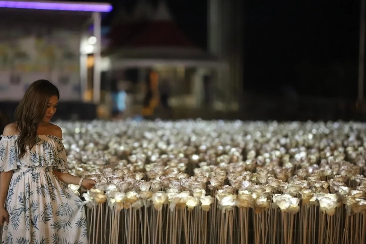 10,000 Roses 一面に広がる光るバラの絶景