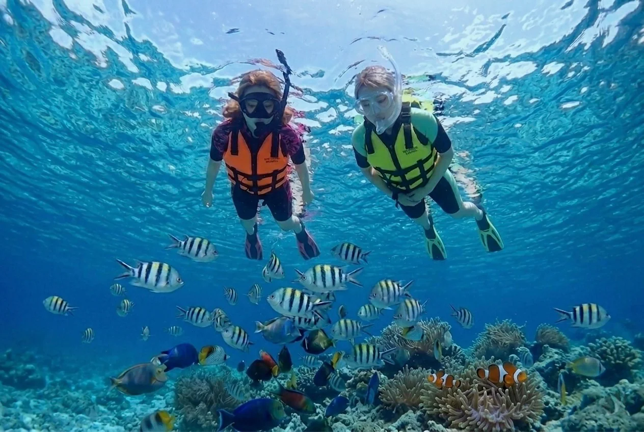 ヒルトゥガン海洋保護区での熱帯魚シュノーケリング